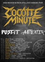 COCOTTE MINUTE