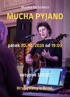Muzika na Sokecu: MUCHA PYJANO