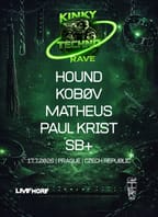 KINKY TECHNO RAVE vol. 2