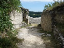 Zřícenina hradu Falkenstein