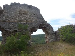 Zřícenina hradu Falkenstein