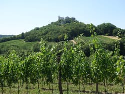 Zřícenina hradu Falkenstein