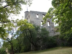 Zřícenina hradu Falkenstein