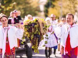Pálavské vinobraní