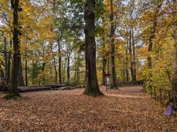 Hranická propast