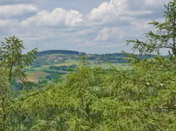 Burianova rozhledna-výhled