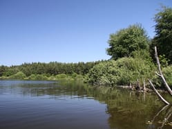 Vlkovská pískovna