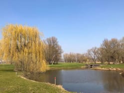 Golf Kotlina