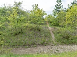 Paintball Beroun - otevřené i soukromé hry pro děti i dospělé