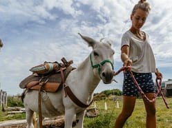 Oslí stezka Český ráj - zažijte procházku/túru s oslíkem
