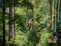 Lesní lanový park - překonejte až 36 překážek