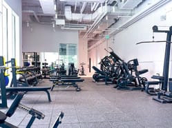 Posilovna OneGym - fitness centrum v Praze