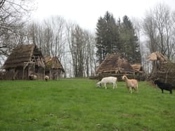 Villa Nova Uhřínov - Archeologické muzeum v přírodě!