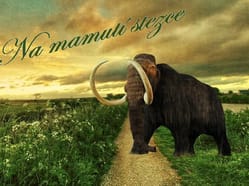 Venkovní úniková hra - Na mamutí stezce