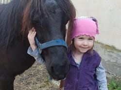 Archa Noemova - procházky a jízdy na oslíkách a poníkách