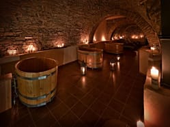 Wellness na zámku Wichterle Slavičín - s možností dopravy