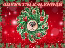 Hra na doma - Adventní kalendář
