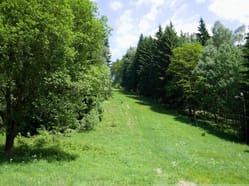 Paintball u Sport Hotelu Můstek - ideální pro rodiny s dětmi