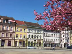 Venkovní online hra - Útěk ze zakletého města Děčín