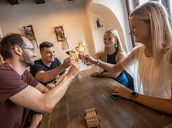 Venkovní hra - Tour de Wine ve městě Plzeň: Po kapkách zločinu