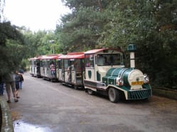 Lokálka Amálka v ZOO parku Chomutov