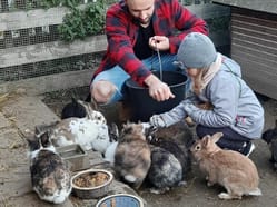 Statek u Merlina - staňte se na jeden den ošetřovatelem zvířat