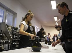 Jarní festival vína Němčičky
