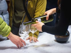 Jarní festival vína Němčičky