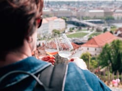Svátek růžových vín… a bublinek