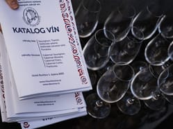 Den vína v Buchlovicích