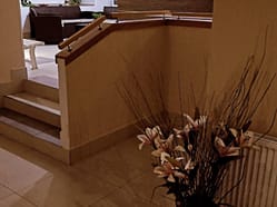 Masáže v Balneo Flora Olomouc - relax v historickém centru Olomouce