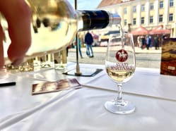 Svatomartinské slavnosti v Hustopečích