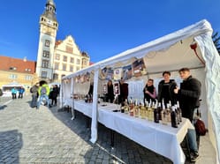 Svatomartinské slavnosti v Hustopečích