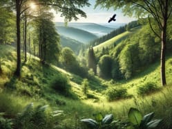 Outdoorová hra - Krkavec Ferda