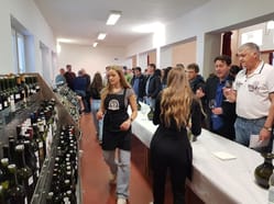 Jarní festival vína Němčičky