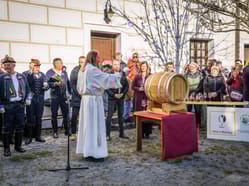 Svatomartinská a mladá vína