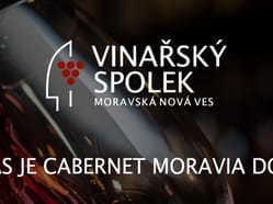 Jarní otevřené sklepy