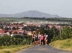Krajem vína – Májové putování okolím Modrých hor