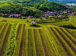 Žernosecký košt
