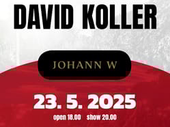Hudba na vinicích ve Vinařství JOHANN W – David Koller