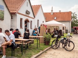 Jarní putovaní po sklepích a vinicích Havraníky