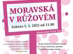 Moravská v růžovém