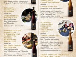 Zážitková degustace s ředitelem vinařství