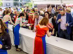 Májová výstava vín Veselska