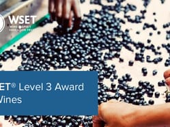 WSET Level 3 Award in Wines
