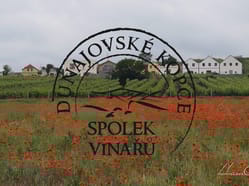 14. přehlídka otevřených sklepů