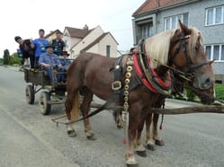 Putování po blatnických búdách