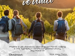 Nordic walking ve vinici
