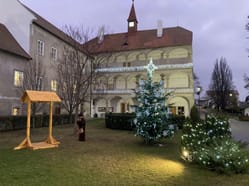 Bohutický košt mladých vín