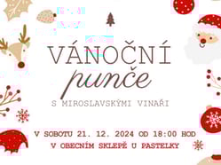 Vánoční punče s Miroslavskými vinaři